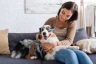 13 Dog Breeds That Get Jealous Of Literally Everything