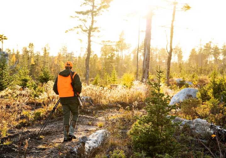 Cause of death revealed for two hunters found dead in Colorado wilderness