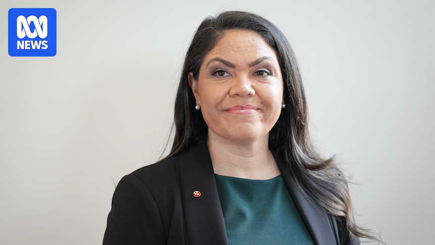 Federal politics live: Julian Leeser apologises for Jacinta Nampijinpa Price's Indian migrant remarks
