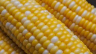 The Bundt Pan Hack To Remove Corn From The Cob