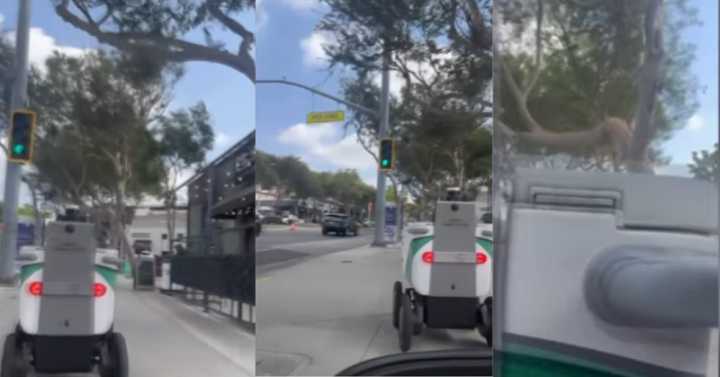 West Hollywood Delivery Robot Repeatedly Blocks and Hit Man in a Wheelchair