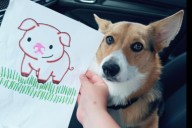 Owner Picks Dog Up From Daycare, Hearts Melt Over What He Comes Home With
