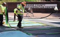 Maxwell: DOGE this! Florida DOT hides crosswalk crackdown records