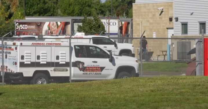 Animal control employees seen back at work at contaminated Yellowstone Valley Animal Services building