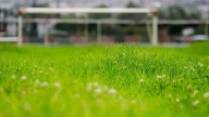 ¡No caigas! Alertan por venta de boletos falsos para el Mundial de Futbol