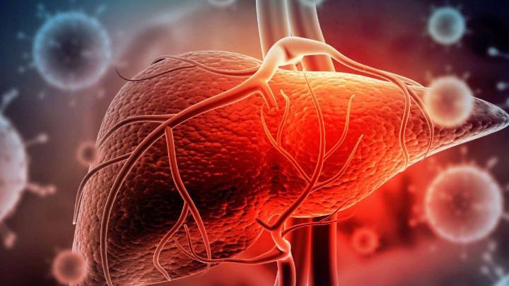 Científicos del CONICET descubrieron que el bloqueo de una proteína reduce la hepatitis fulminante