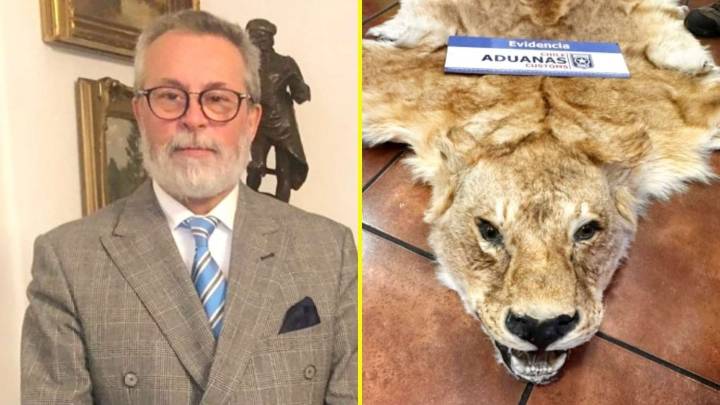 Rechazan sobreseimiento de exembajador de Chile en Hungría por caso de contrabando de pieles de animales salvajes