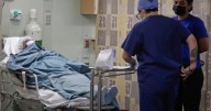 Eutanasias en Colombia se multiplican por 88 en 10 años y suman 352 en 2024, según estudio