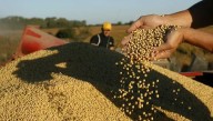 Prematuro fin de la quita de retenciones: las exportaciones del agro ya alcanzaron el cupo de u$s7.000 millones