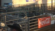 14th Annual Tangipahoa Parish Sheriff's Office Rodeo held in Amite
