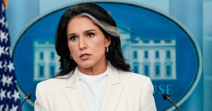 Gabbard may have undermined investigation into ex-CIA director, officials say