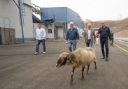 El Cabildo invierte 1,4 millones en dos años en mejoras en el Matadero insular