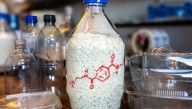 BAETA: New Invention Takes Plastic Garbage And Turns It Into Tool For Carbon Capture