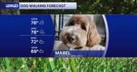 Paws-itively perfect weather on the way: Here's your Sunday dog walking forecast