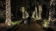 Tickets now on sale for Dazzling Nights holiday event at Orlando Leu Gardens