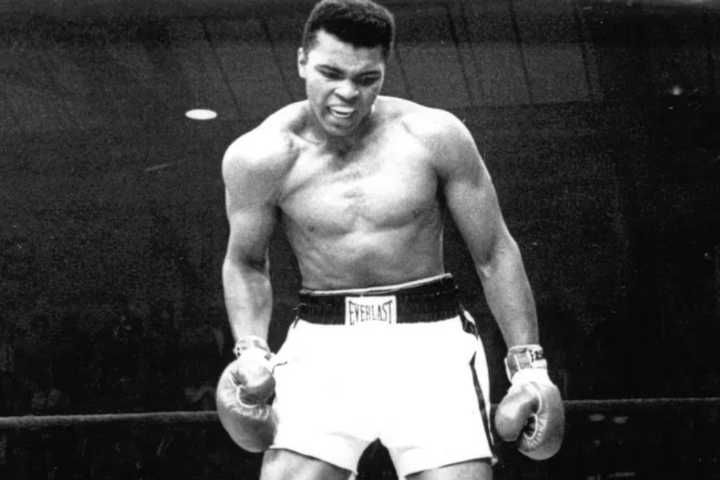 Conclusive Proof That Muhammad Ali Is the True GOAT Despite Evander Holyfield’s Claim Discover why Muhammad Ali remains the true GOAT despite Evander Holyfield’s claim. Legacy, impact, and influence. 