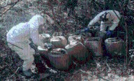 Operativos federales aseguran más de 140 mdp en drogas en Sonora y Sinaloa