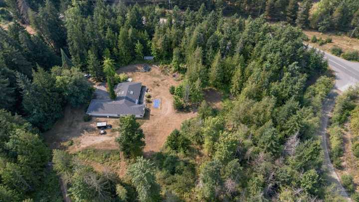 Butterfly World on Vancouver Island up for sale for $2.3M 