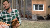 Man Everyone Mocked For Raising Chickens Gets Last Laugh
