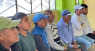 Ica: agricultores capacitados en manejo de plagas y nutrición de cultivos