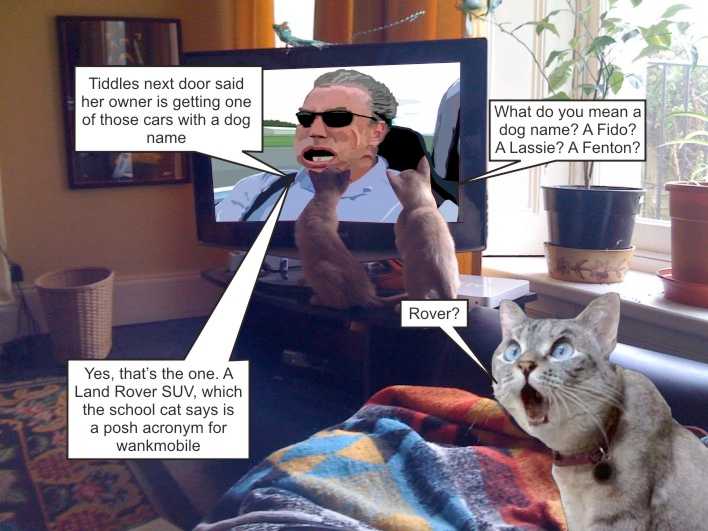 Always listen to an educated cat
