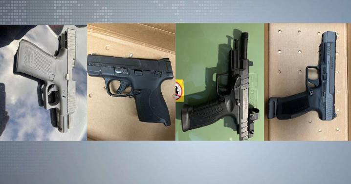 Teens charged in Madison shooting and carjacking attempt near Independence Lane
