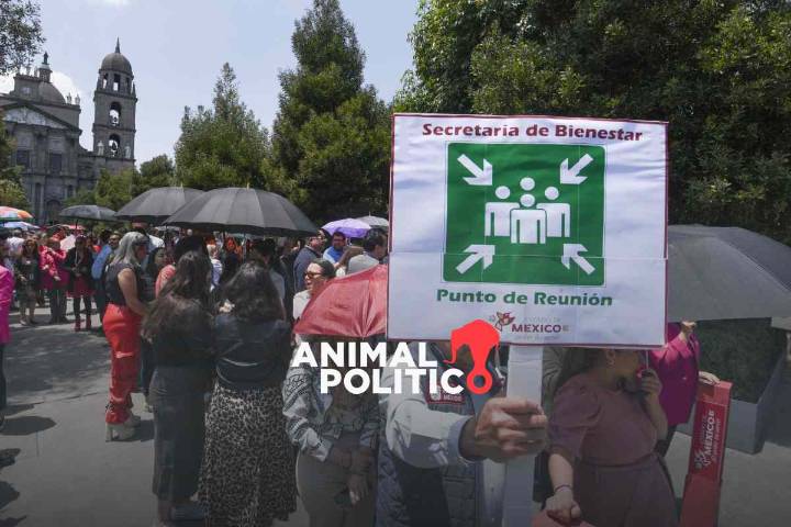 Segundo Simulacro Nacional 2025: a qué hora sonará la alerta sísmica y todos los detalles