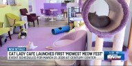 - Cat Lady Café Announces the ‘Midwest Meow Fest’ at the Century Center