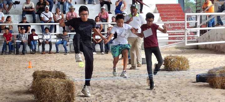 Fomentan cultura bovina en pequeños