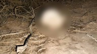 Hallan Osamenta Humana en La Laguna
