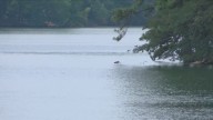Tragedy on Lake Hamilton claims three lives, including beloved Hot Springs mother