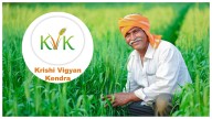 22 Lakh Farmers Empowered Through Krishi Vigyan Kendras Outreach, Enhancing Skill Development & Boosting Incomes