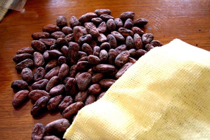 MIDAGRI lanza AgroDigital para beneficiar a más de 400 mil caficultores y cacaoteros ante nueva norma de la UE