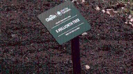 Clayton Homes, Arbor Day Foundation celebrate 5 million trees planted since 2022