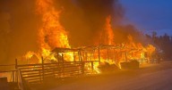 40+ farm animals killed in pasture fire in Provo