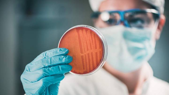 Cases Of Drug-Resistant 'Nightmare Bacteria' Are Rising Across The US