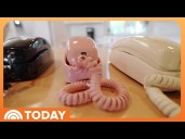 Hold the Phone! Why Parents Are Getting Landlines for Their Kids