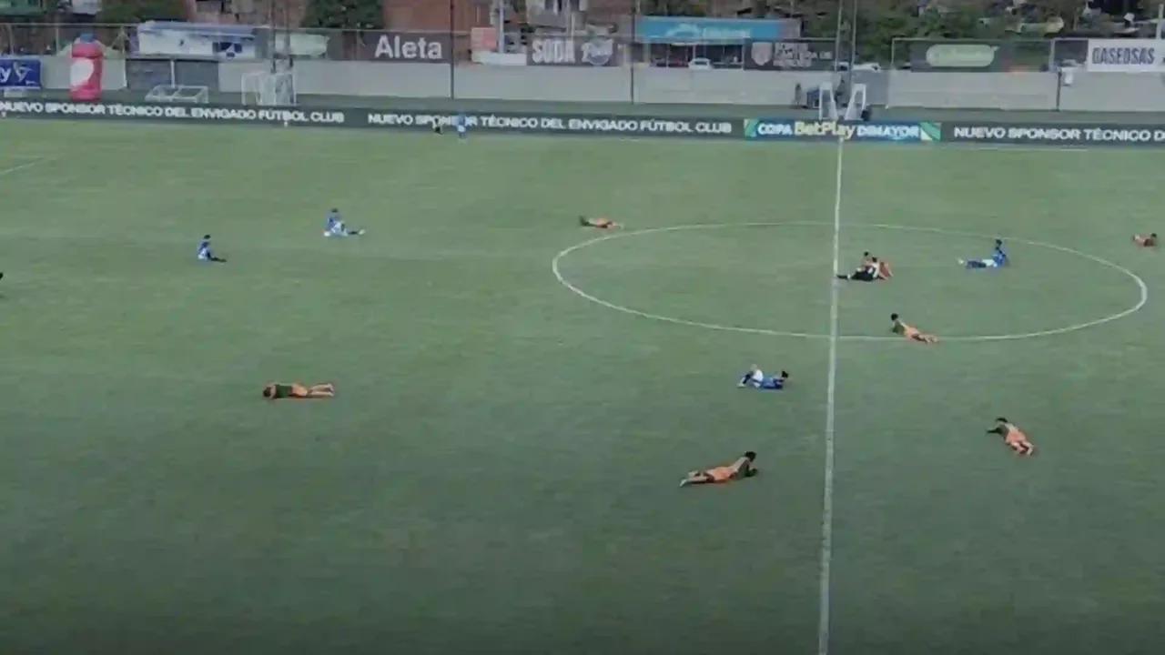 Insólito: avispas obligaron a suspender el Envigado vs. Millonarios de Copa BetPlay