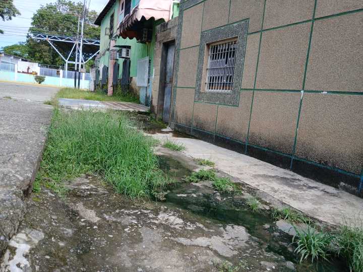 Vecinos del callejón Mellado de San Juan de los Morros viven entre aguas negras  