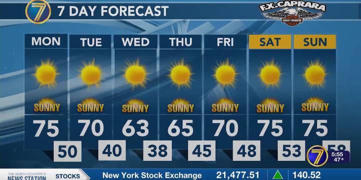 Sunny and mild today