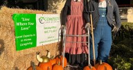 Santa Ynez Valley scarecrow fests kick off Oct. 1