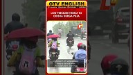 Odisha Durga Puja Under Rain Threat: Low Pressure Over Bay Of Bengal By Oct 1, Says IMD