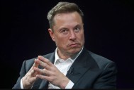 Elon Musk Runs Afoul Of New York Regulators For His Money Transfer Plans For X Money