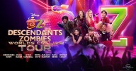 In 40 years of concerts, I never got hurt. That changed at, of all things, a Disney show.