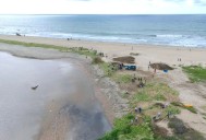 Retiran 18 toneladas de lirio acuático y lechuguilla del Estero de San José del Cabo