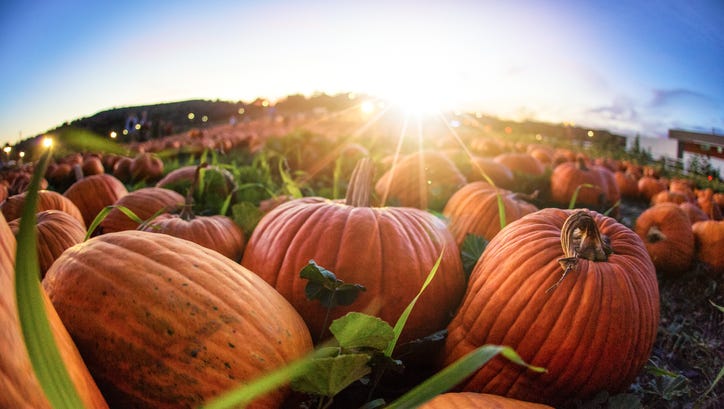 5 fun things to do in Sault Ste. Marie this fall