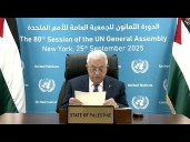 Palestine's Abbas Calls for End to War in Gaza