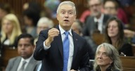 Canada could be a supplier for European markets: Champagne