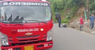 En vereda del occidente de Caldas denuncian que conductor de camioneta atropelló un perro y huyó