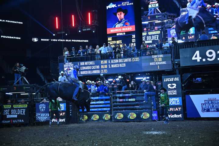 New York Mavericks bring three days of pro bull riding back to New York at UBS Arena